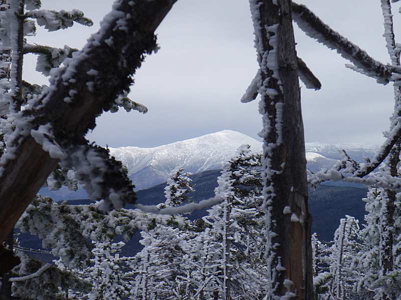 mount washington through the trees 3-31-2012