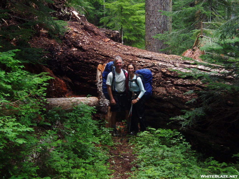 Blowdown On The P.c.t.