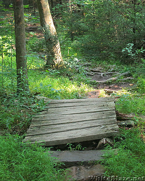 Dan's Pulpit--AT near Eckville, PA