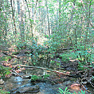 Dan's Pulpit--AT near Eckville, PA by Karma13 in Trail & Blazes in Maryland & Pennsylvania