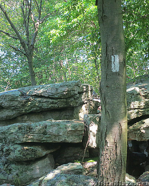 Dan's Pulpit--AT near Eckville, PA