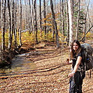 New Hampshire AT by Danielle K in Section Hikers