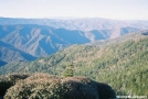 Near the AT, GSMNP by MicahDawgNC in Trail & Blazes in North Carolina & Tennessee