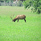 Cherokee NC Visitor Center July 2012