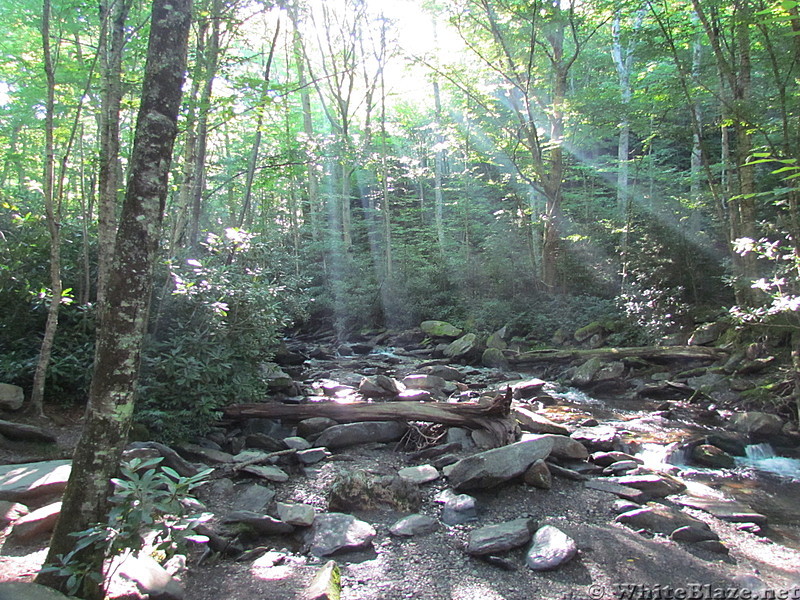 Alum Cave Nature Trail July 2012