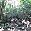 Alum Cave Nature Trail July 2012