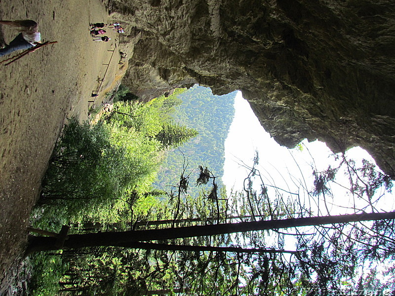 Alum Cave Nature Trail July 2012