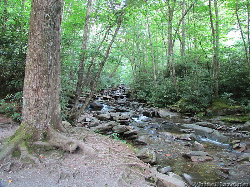 Alum Cave Nature Trail July 2012