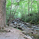 Alum Cave Nature Trail July 2012 by LisaM in Day Hikers