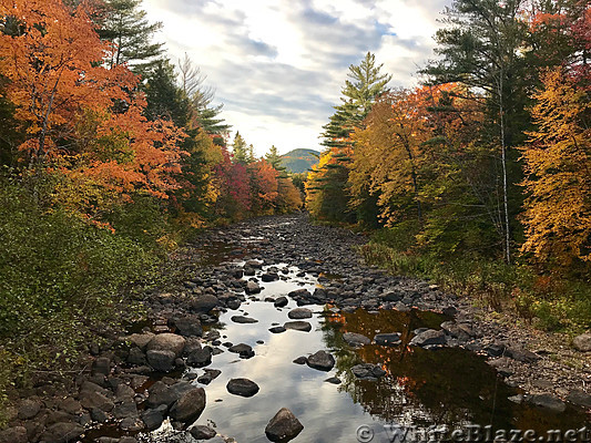 Cooper Brook