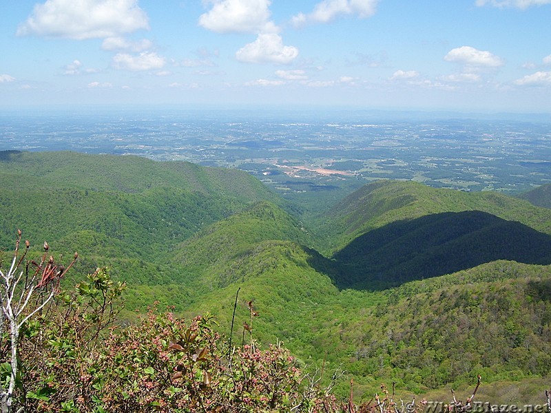 View from the Fire Tower