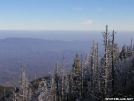 North of Tri-Corner Knob Shelter