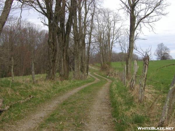 Cool road walk