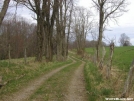 Cool road walk by MoBeach42 in Trail & Blazes in Virginia & West Virginia