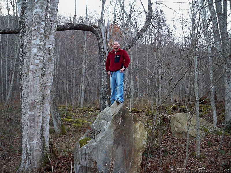 Standing Fuzzy