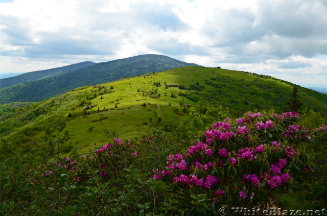 Some pics of my AT thruhike