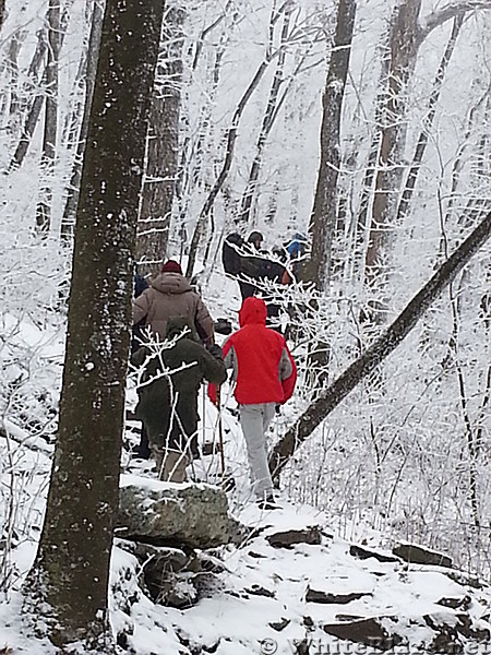 Hike from Springer Mtn Shelter