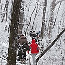 Hike from Springer Mtn Shelter