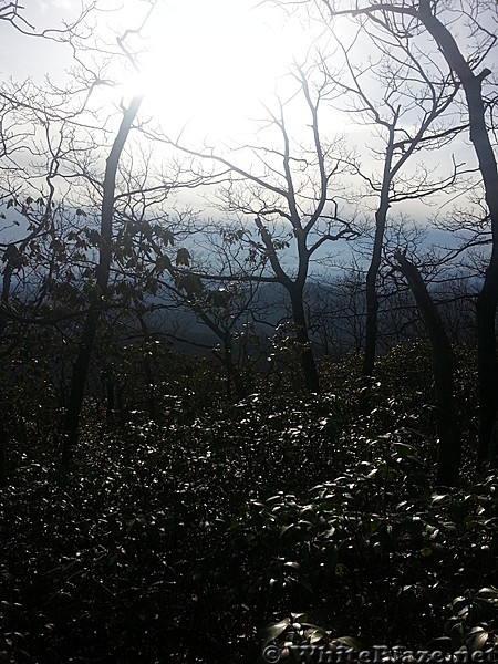 View from Blood Mountain...