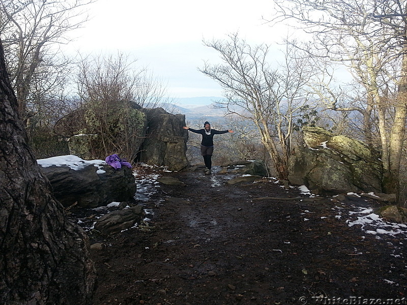 Blood Mountain Shelter