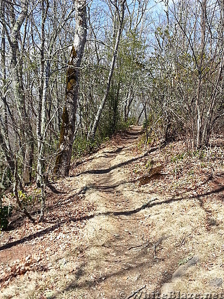 The trail...