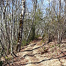 The trail... by MadisonStar in Trail & Blazes in North Carolina & Tennessee
