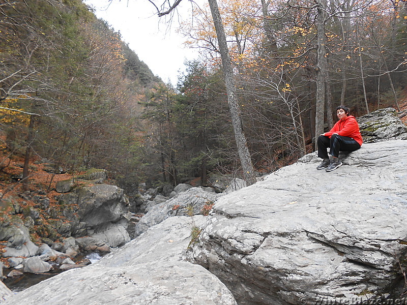 The Mt. Alander, S.Taconic and Frissel Trails (NY,MA,CT) with Another Kevin, Snacktime and Teacher  