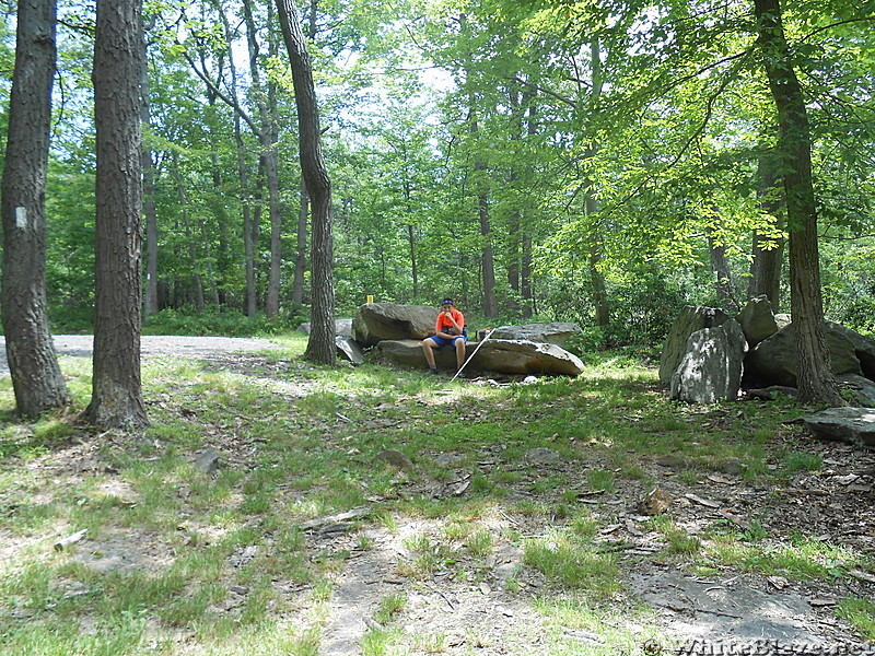 PA Section - PenMar to Pine Grove Forest