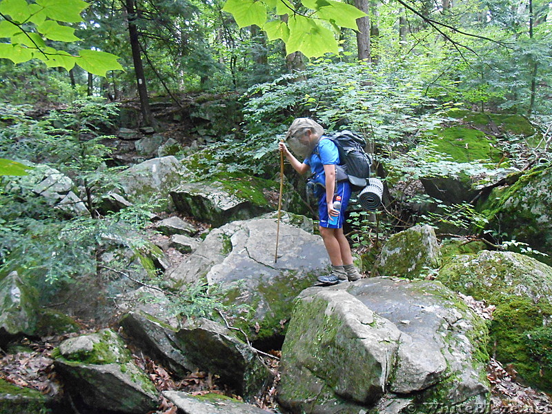 Upper Goose Pond Cabin   Lee, MA   July 2013