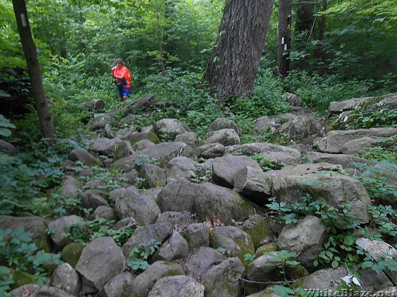 PA Section - PenMar to Pine Grove Forest