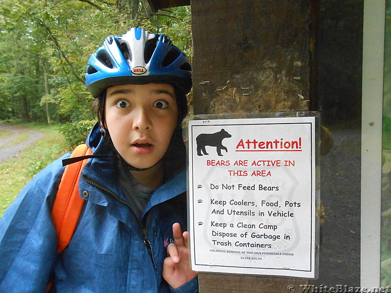 Virginia Creeper Trail  Sept 2013