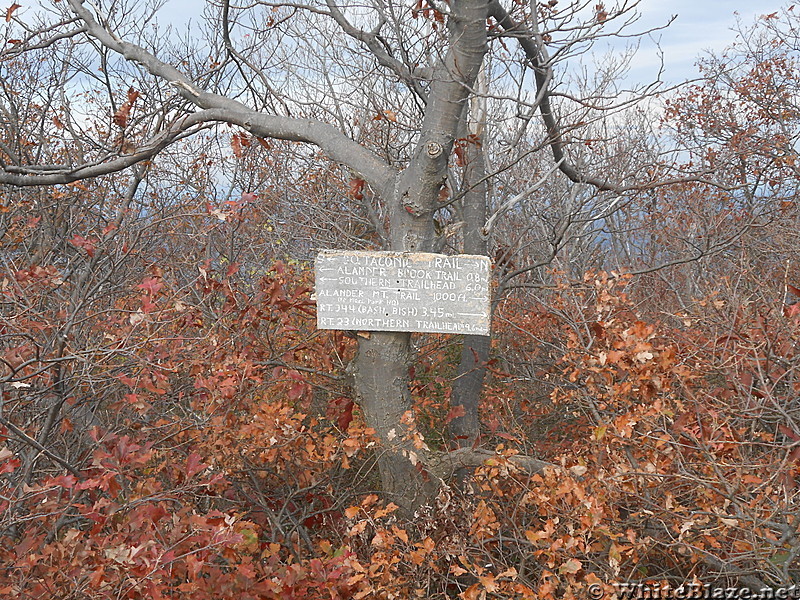 The Mt. Alander, S.Taconic and Frissel Trails (NY,MA,CT) with Another Kevin, Snacktime and Teacher  