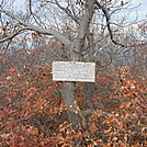 The Mt. Alander, S.Taconic and Frissel Trails (NY,MA,CT) with Another Kevin, Snacktime and Teacher   by Teacher & Snacktime in Other Trails