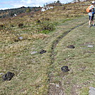 Grayson Highlands SP  2013