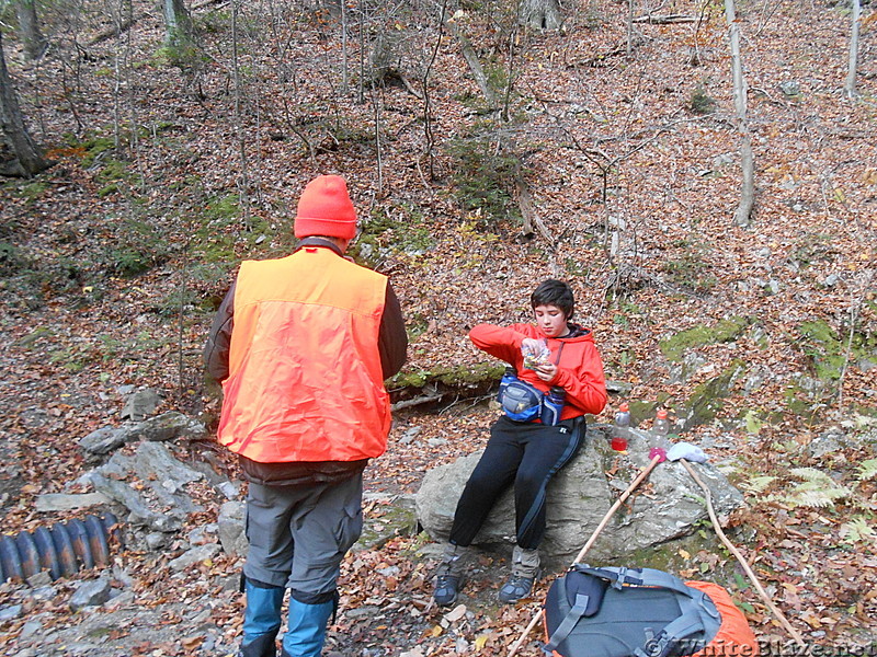 The Mt. Alander, S.Taconic and Frissel Trails (NY,MA,CT) with Another Kevin, Snacktime and Teacher  