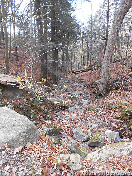 The Mt. Alander, S.Taconic and Frissel Trails (NY,MA,CT) with Another Kevin, Snacktime and Teacher  