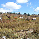 Grayson Highlands SP  2013