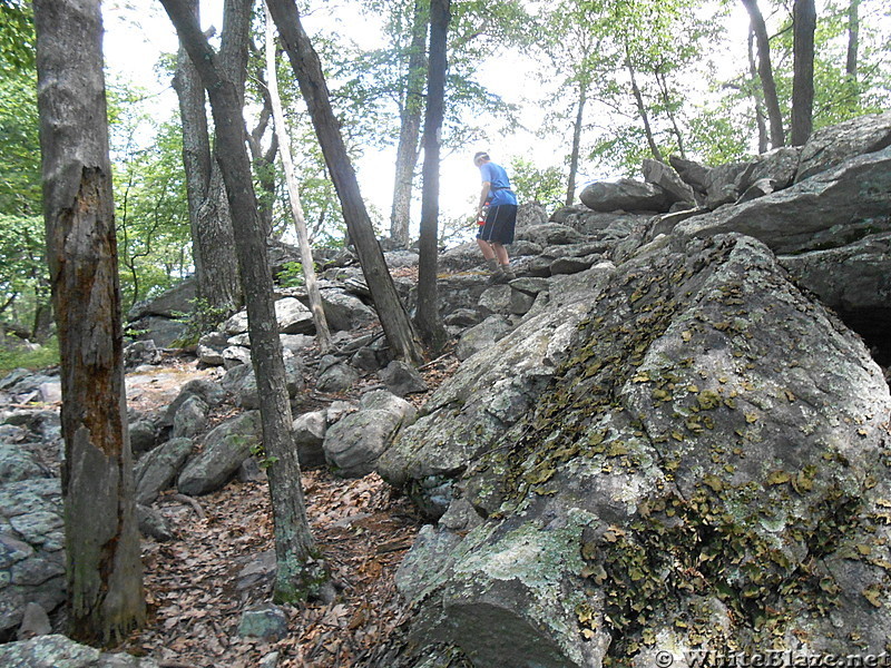 PA Section - PenMar to Pine Grove Forest