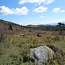 Grayson Highlands SP  2013