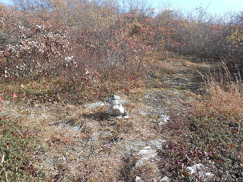 The Mt. Alander, S.Taconic and Frissel Trails (NY,MA,CT) with Another Kevin, Snacktime and Teacher  