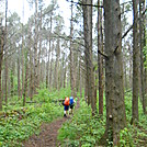 Connecticut:  NY Border to Kent  May 2013 by Teacher & Snacktime in Trail & Blazes in Connecticut