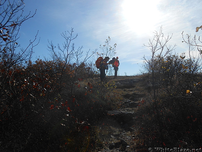 The Mt. Alander, S.Taconic and Frissel Trails (NY,MA,CT) with Another Kevin, Snacktime and Teacher  