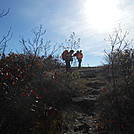 The Mt. Alander, S.Taconic and Frissel Trails (NY,MA,CT) with Another Kevin, Snacktime and Teacher  