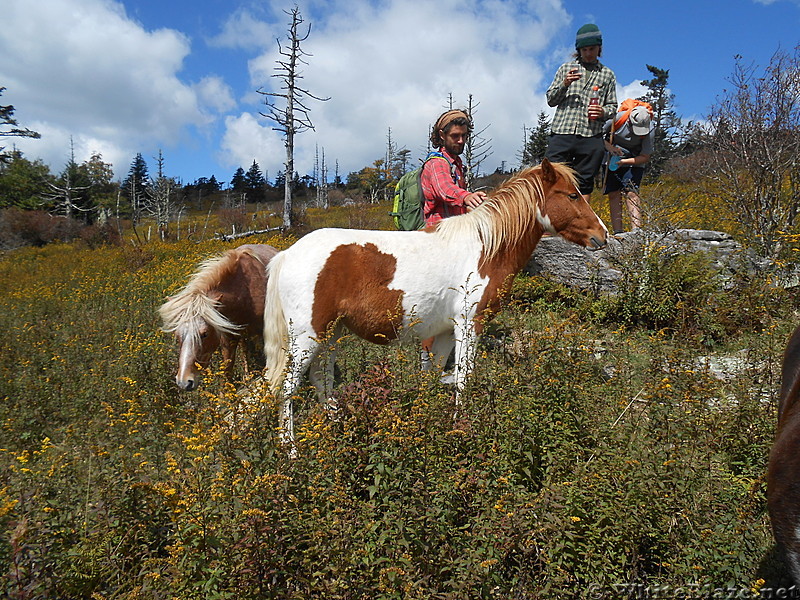 Grayson Highlands SP  2013