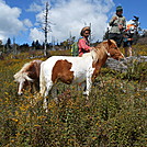 Grayson Highlands SP  2013