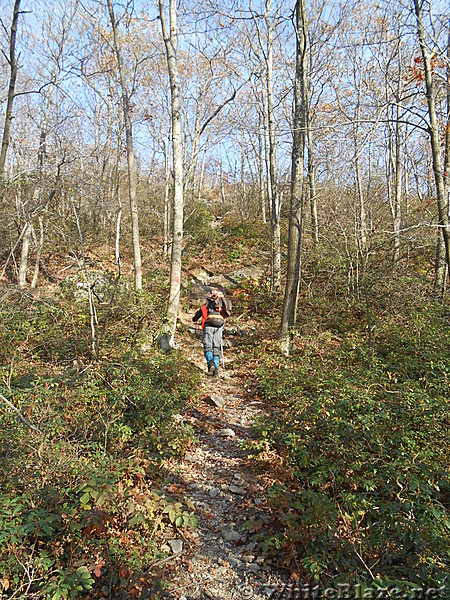 The Mt. Alander, S.Taconic and Frissel Trails (NY,MA,CT) with Another Kevin, Snacktime and Teacher