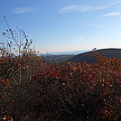 The Mt. Alander, S.Taconic and Frissel Trails (NY,MA,CT) with Another Kevin, Snacktime and Teacher   by Teacher & Snacktime in Other Trails