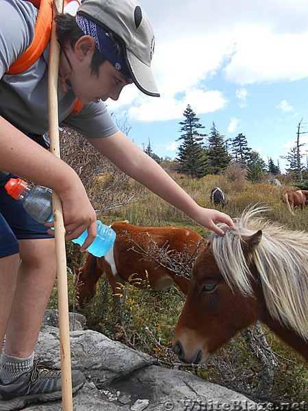 Grayson Highlands SP  2013