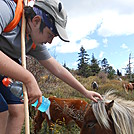 Grayson Highlands SP  2013