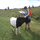 Grayson Highlands SP  2013